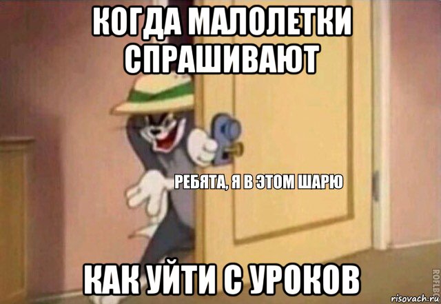 когда малолетки спрашивают как уйти с уроков, Мем    Ребята я в этом шарю