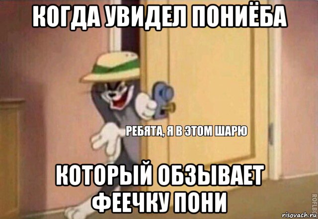 когда увидел пониёба который обзывает феечку пони, Мем    Ребята я в этом шарю