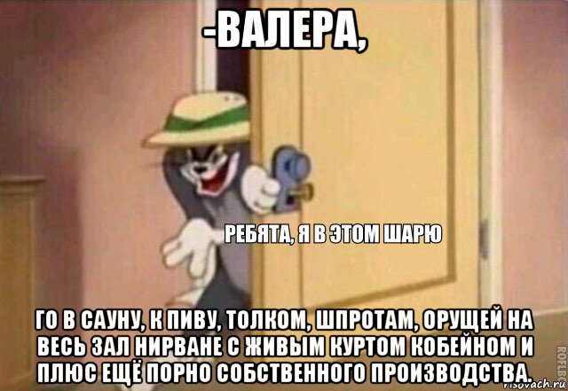 -валера, го в сауну, к пиву, толком, шпротам, орущей на весь зал нирване с живым куртом кобейном и плюс ещё порно собственного производства., Мем    Ребята я в этом шарю