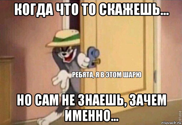 когда что то скажешь... но сам не знаешь, зачем именно..., Мем    Ребята я в этом шарю