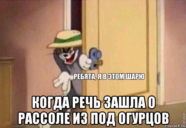  когда речь зашла о рассоле из под огурцов, Мем    Ребята я в этом шарю