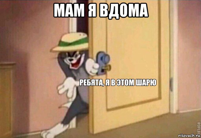 мам я вдома , Мем    Ребята я в этом шарю