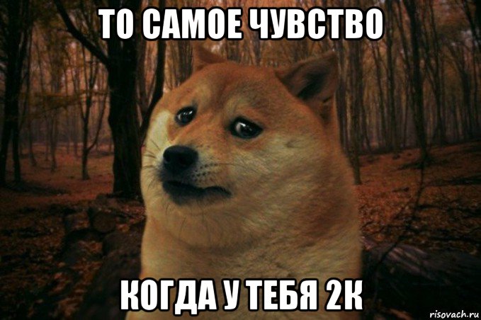 то самое чувство когда у тебя 2к, Мем SAD DOGE