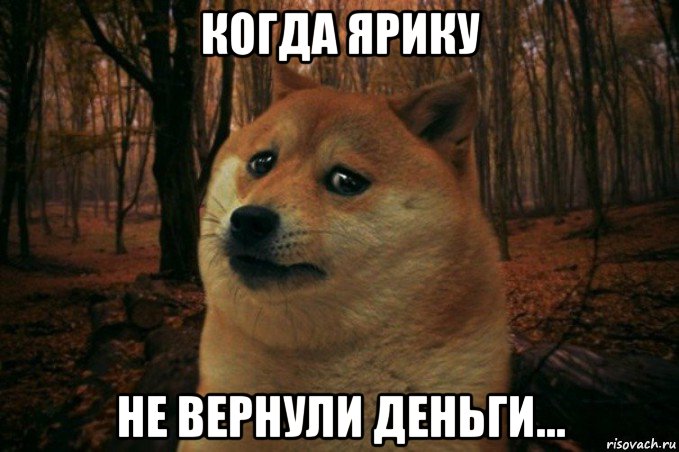 когда ярику не вернули деньги..., Мем SAD DOGE