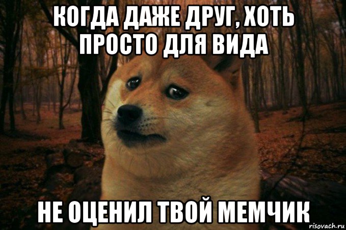 когда даже друг, хоть просто для вида не оценил твой мемчик, Мем SAD DOGE