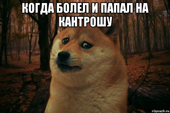 когда болел и папал на кантрошу , Мем SAD DOGE