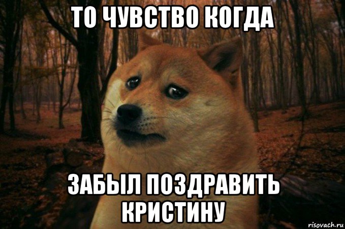 то чувство когда забыл поздравить кристину, Мем SAD DOGE