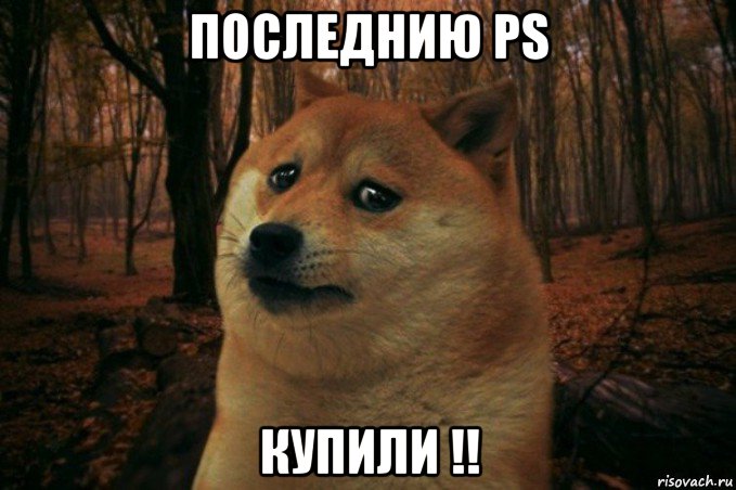 последнию ps купили !!, Мем SAD DOGE