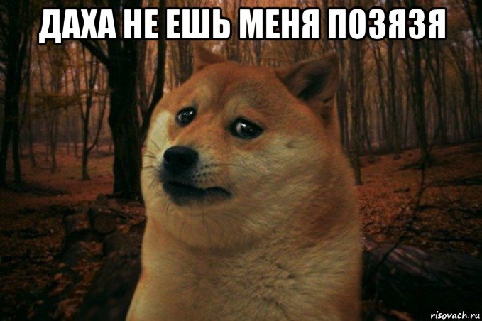 даха не ешь меня позязя , Мем SAD DOGE