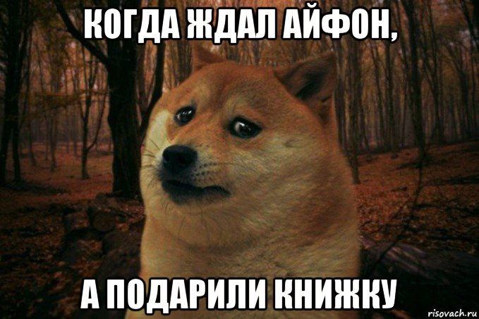 когда ждал айфон, а подарили книжку, Мем SAD DOGE