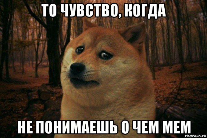 то чувство, когда не понимаешь о чем мем, Мем SAD DOGE