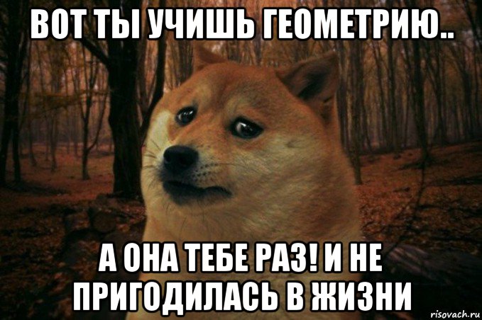 вот ты учишь геометрию.. а она тебе раз! и не пригодилась в жизни, Мем SAD DOGE