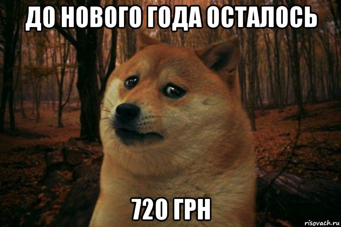 до нового года осталось 720 грн, Мем SAD DOGE