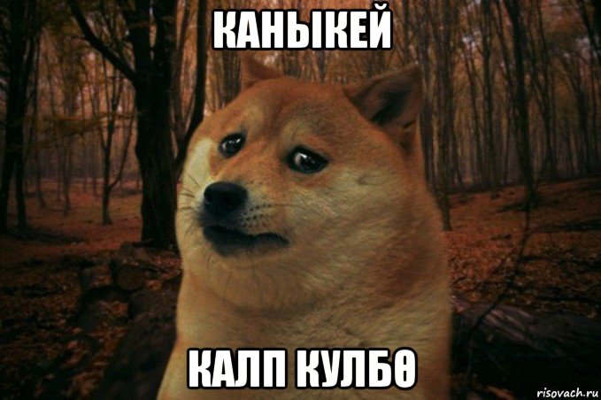 каныкей калп кулбθ, Мем SAD DOGE