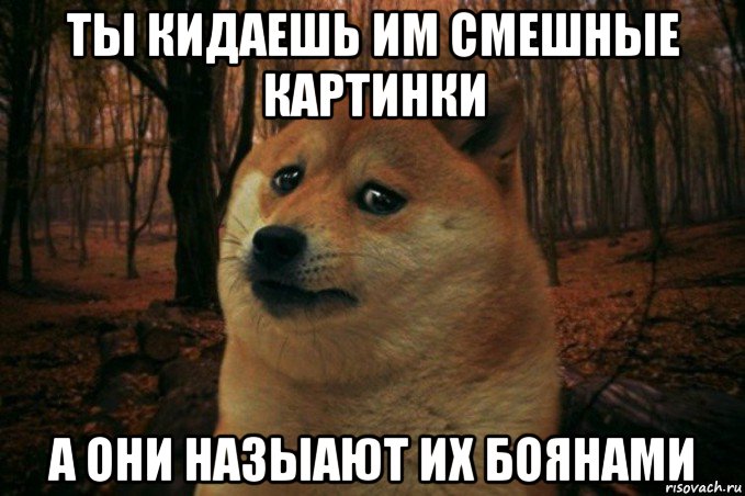 ты кидаешь им смешные картинки а они назыают их боянами, Мем SAD DOGE