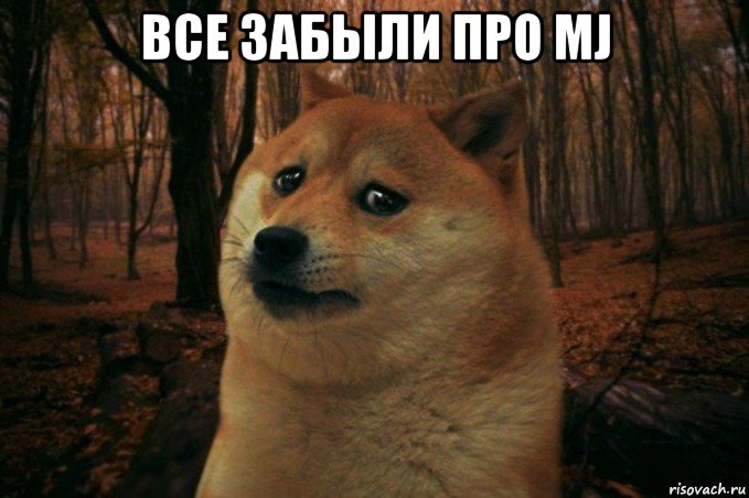 все забыли про mj , Мем SAD DOGE