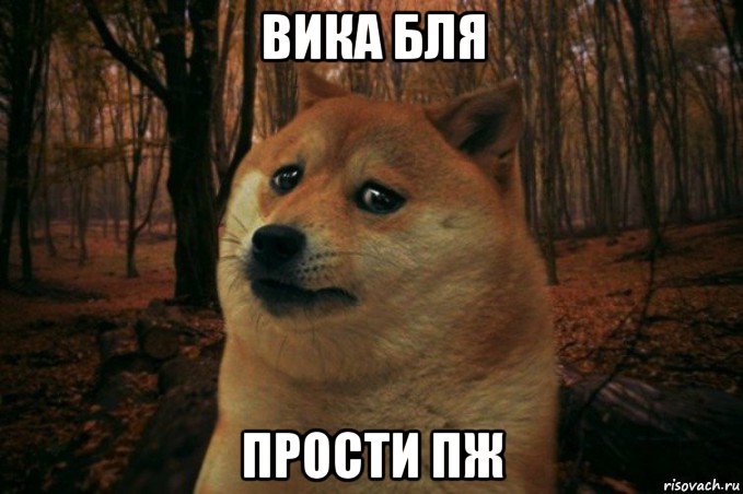 вика бля прости пж, Мем SAD DOGE