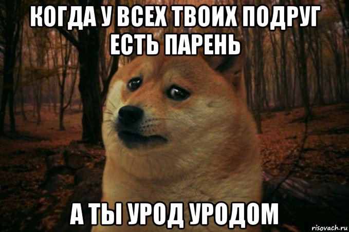 когда у всех твоих подруг есть парень а ты урод уродом, Мем SAD DOGE