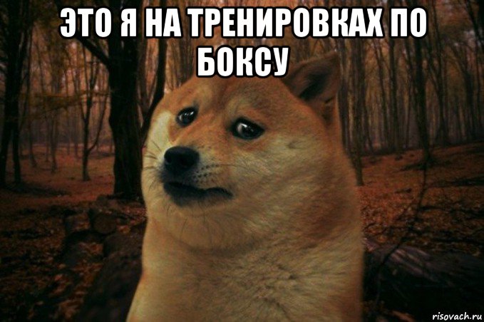 это я на тренировках по боксу , Мем SAD DOGE