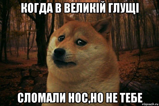 когда в великій глущі сломали нос,но не тебе, Мем SAD DOGE