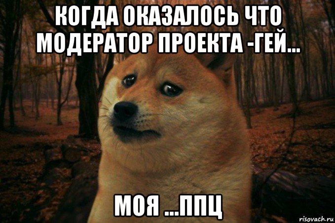 когда оказалось что модератор проекта -гей... моя ...ппц, Мем SAD DOGE