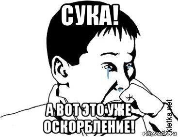 сука! а вот это уже оскорбление!, Мем сашок