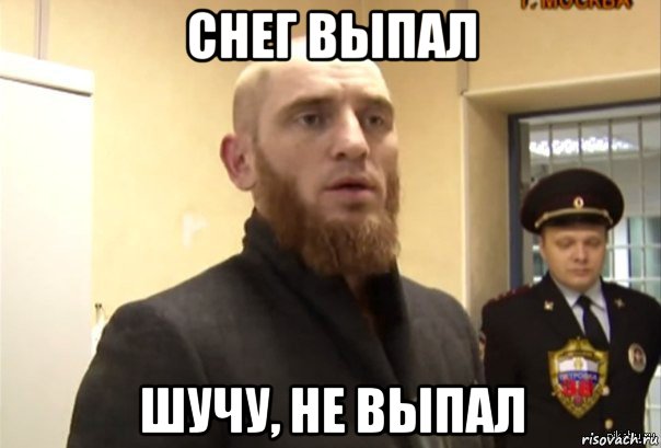 снег выпал шучу, не выпал, Мем Шучу