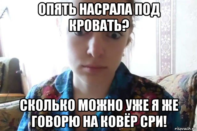 опять насрала под кровать? сколько можно уже я же говорю на ковёр сри!, Мем    Скайп файлообменник