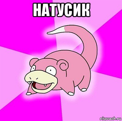 натусик 