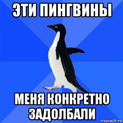 эти пингвины меня конкретно задолбали, Мем  Социально-неуклюжий пингвин