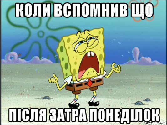 коли вспомнив що після затра понеділок, Мем Спанч Боб плачет