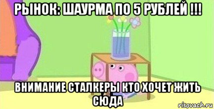 рынок: шаурма по 5 рублей !!! внимание сталкеры кто хочет жить сюда, Мем  Свинка пеппа под столом