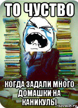 то чуство когда задали много домашки на каникулы, Мем Типовий десятикласник