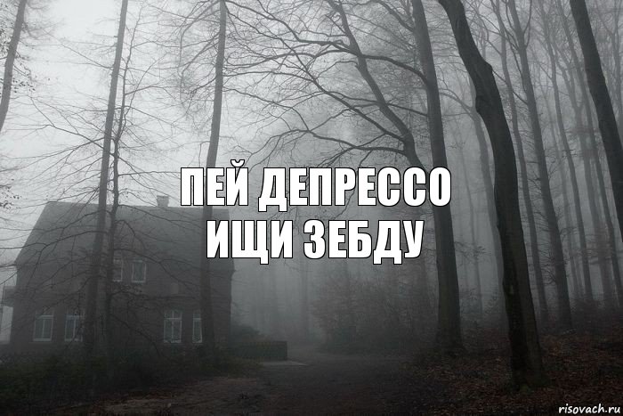 ПЕЙ ДЕПРЕССО
ИЩИ ЗЕБДУ