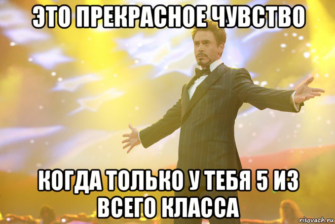 это прекрасное чувство когда только у тебя 5 из всего класса, Мем Тони Старк (Роберт Дауни младший)