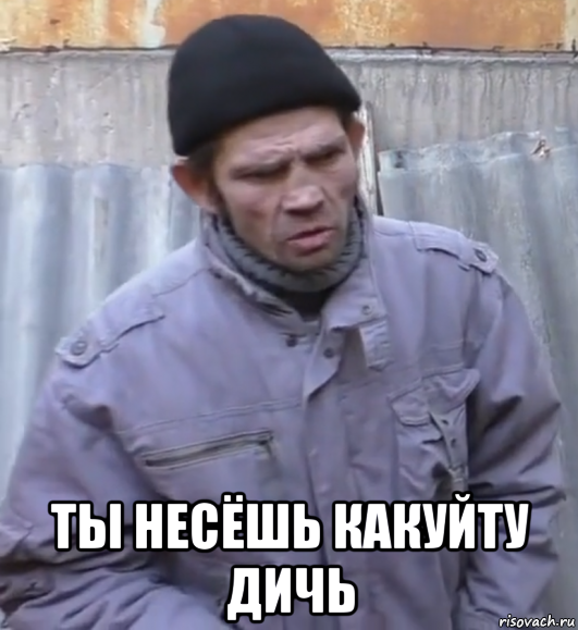  ты несёшь какуйту дичь