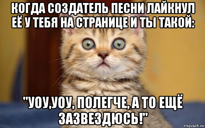 когда создатель песни лайкнул её у тебя на странице и ты такой: "уоу,уоу, полегче, а то ещё зазвездюсь!", Мем  удивление