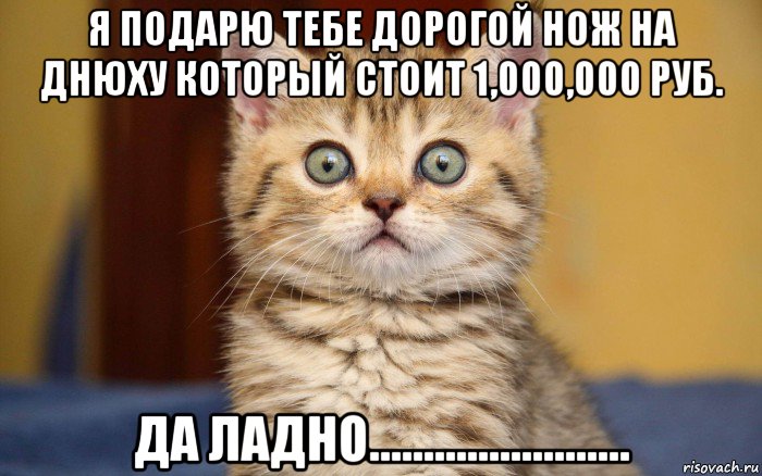 я подарю тебе дорогой нож на днюху который стоит 1,000,000 руб. да ладно........................