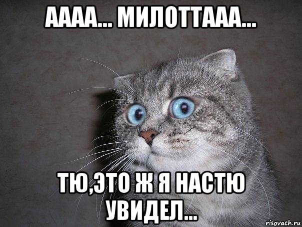 аааа... милоттааа... тю,это ж я настю увидел..., Мем  удивлённый кот