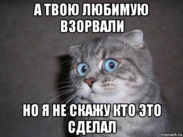 а твою любимую взорвали но я не скажу кто это сделал, Мем  удивлённый кот