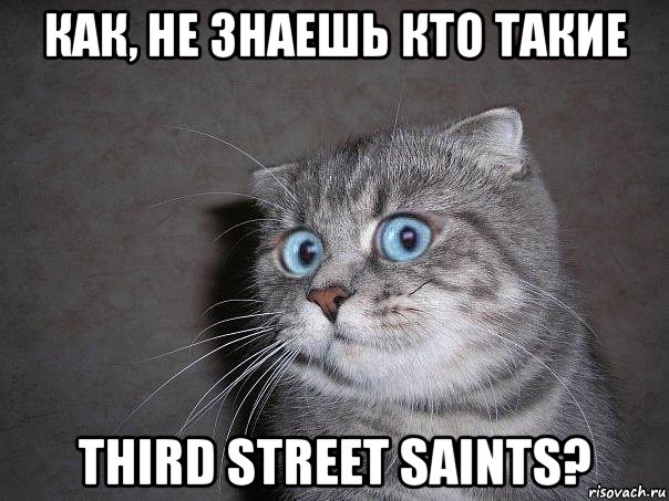 как, не знаешь кто такие third street saints?, Мем  удивлённый кот