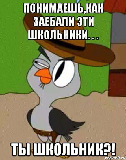 понимаешь,как заебали эти школьники. . . ты школьник?!, Мем    Упоротая сова