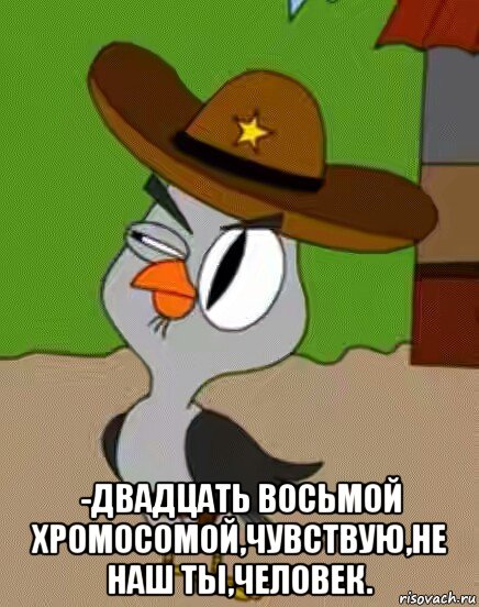  -двадцать восьмой хромосомой,чувствую,не наш ты,человек., Мем    Упоротая сова