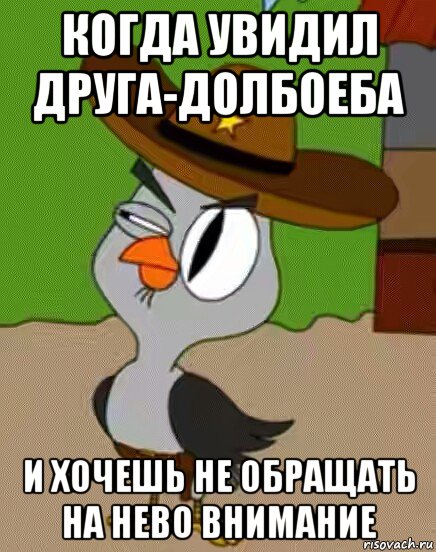 когда увидил друга-долбоеба и хочешь не обращать на нево внимание, Мем    Упоротая сова