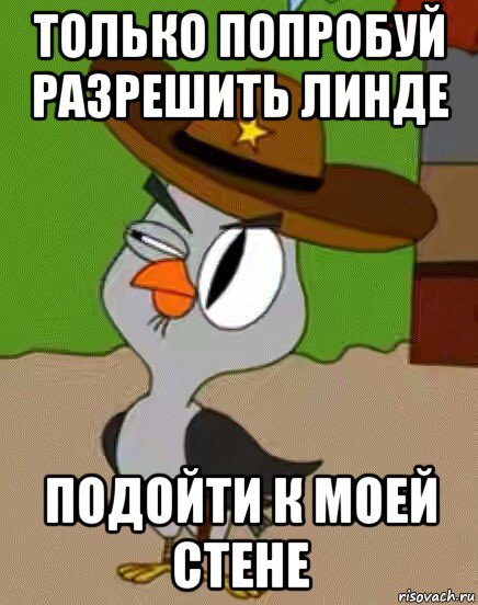 только попробуй разрешить линде подойти к моей стене, Мем    Упоротая сова