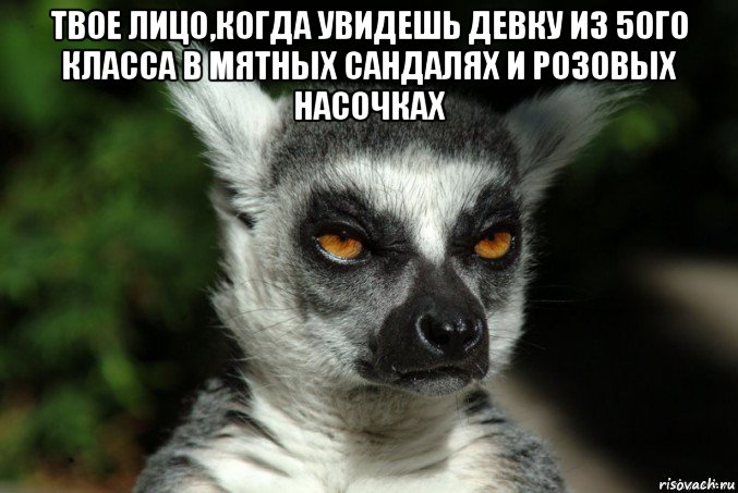 твое лицо,когда увидешь девку из 5ого класса в мятных сандалях и розовых насочках , Мем   Я збагоен