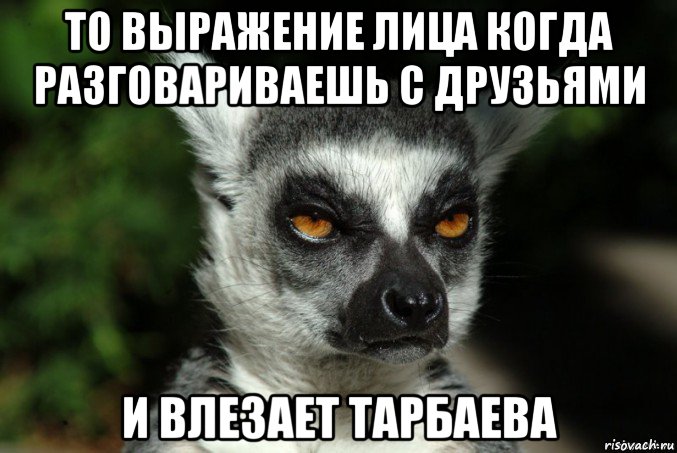 то выражение лица когда разговариваешь с друзьями и влезает тарбаева, Мем   Я збагоен