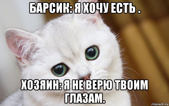 барсик: я хочу есть . хозяин: я не верю твоим глазам., Мем  В мире грустит один котик