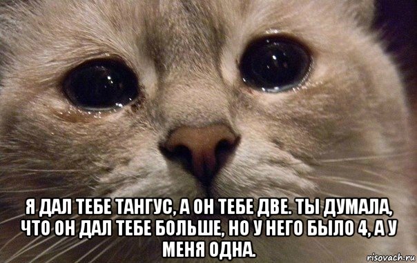  я дал тебе тангус, а он тебе две. ты думала, что он дал тебе больше, но у него было 4, а у меня одна., Мем   В мире грустит один котик