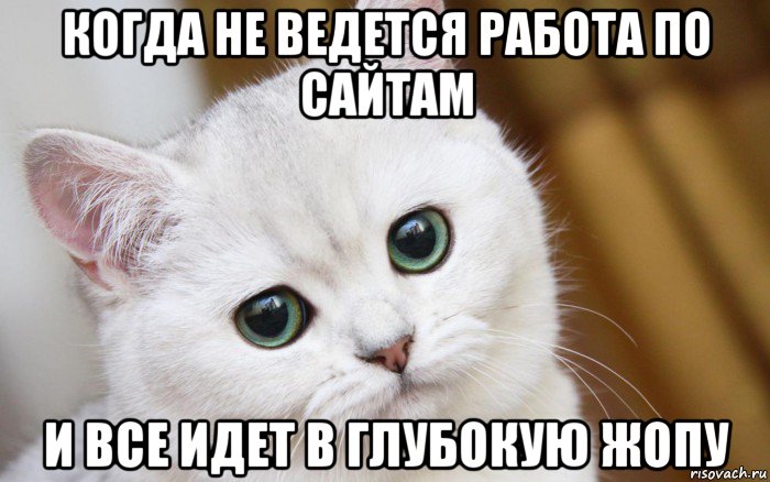 когда не ведется работа по сайтам и все идет в глубокую жопу, Мем  В мире грустит один котик